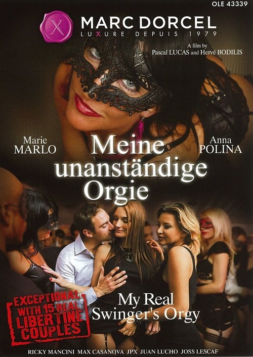 Meine unanständige Orgie poster