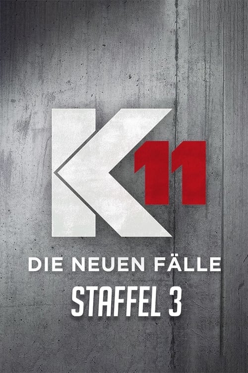 K11 - Die neuen Fälle, S03 - (2021)