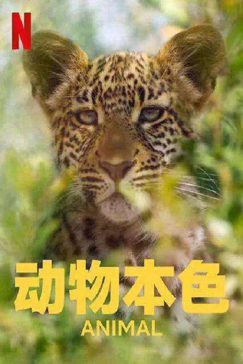《动物本色》第2季海报