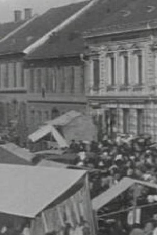 The Ljutomer Fair (1905)