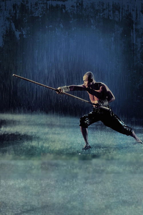 Pòster de The 36th Chamber of Shaolin Collection