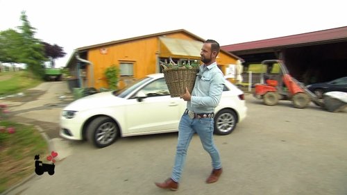 Image de l'épisode 11