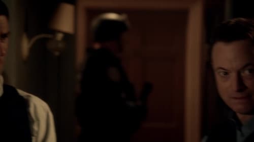 CSI: NY, S09E02 - (2012)