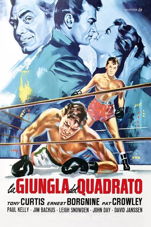 La giungla del quadrato