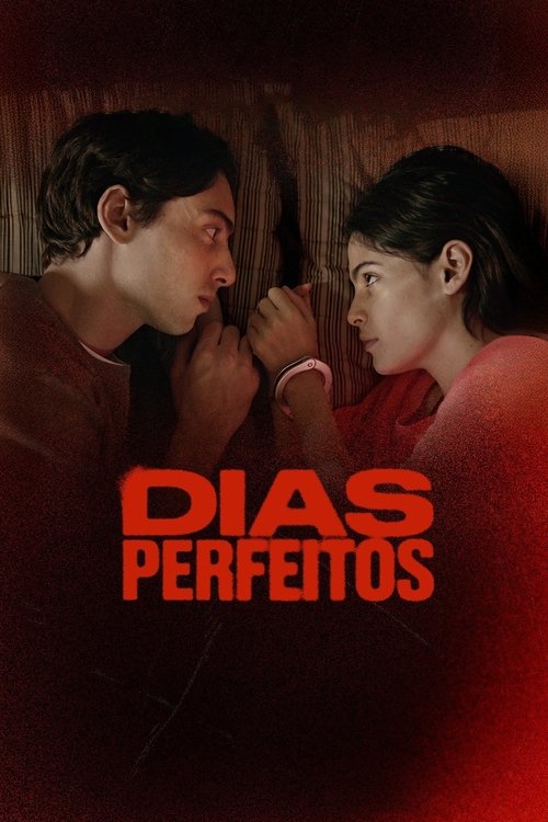 Dias Perfeitos