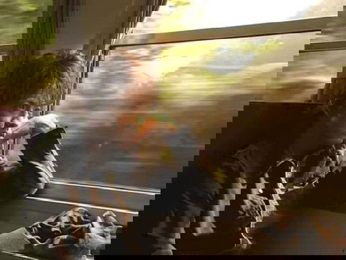 Image de l'épisode 7