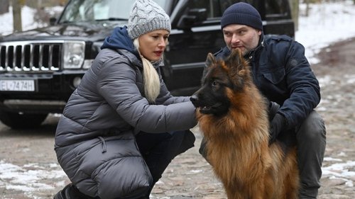 Image de l'épisode 1