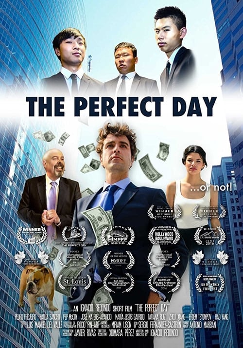 Poster The Perfect Day 2017