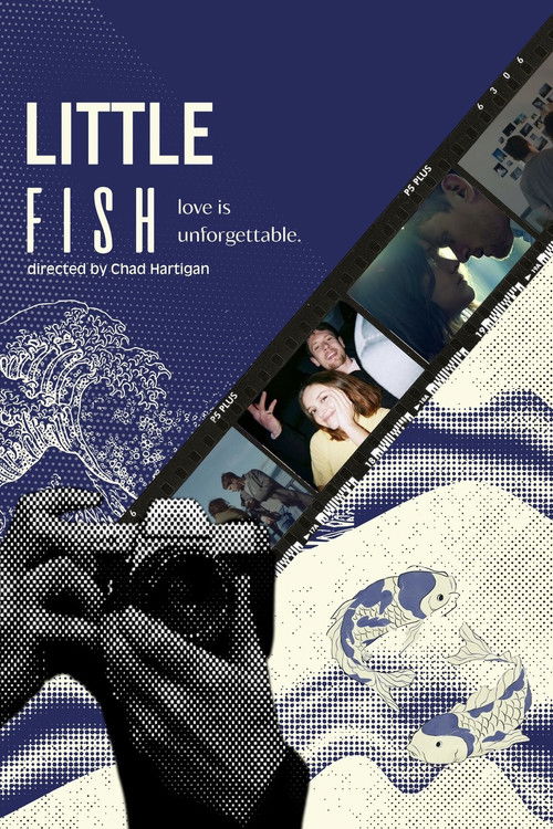 Little Fish poster