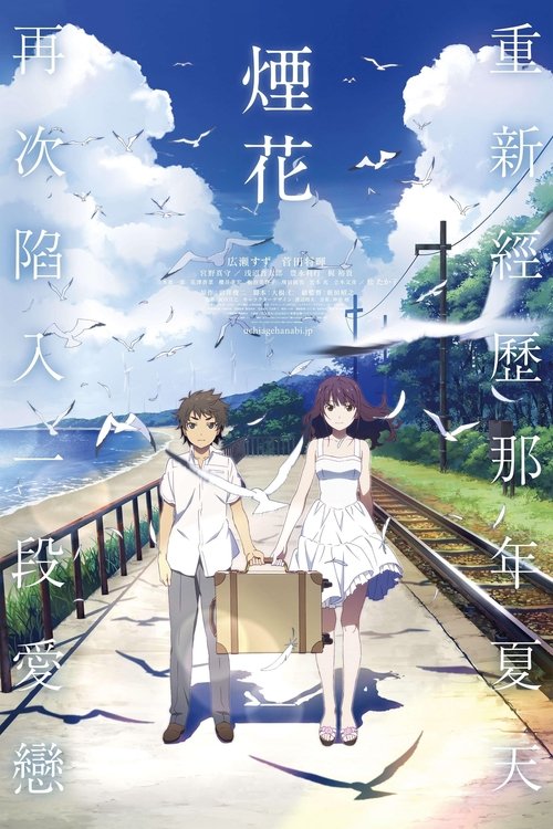 Poster image du film Fireworks Fireworks