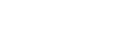 Vincent will Meer