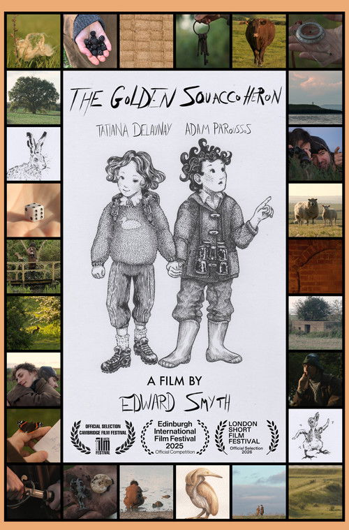 The Golden Squacco Heron film afişi