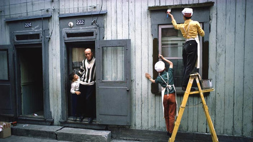 Les fleurs c'est pour Rosemont