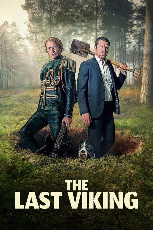 The Last Viking poster