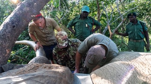 Poster della serie Malawi Wildlife Rescue