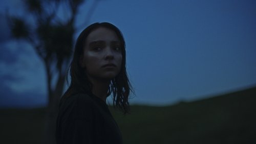 Image 16