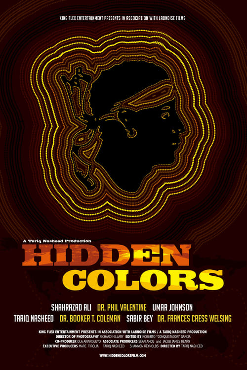 Hidden Colors Movie Poster Image