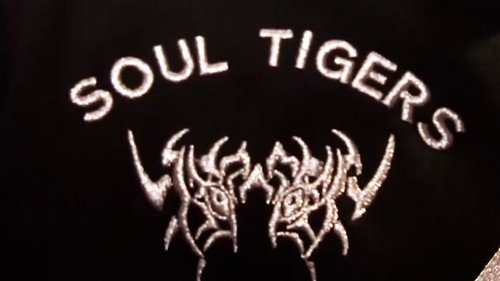 Glamour Reel Docs: Soul Tigers