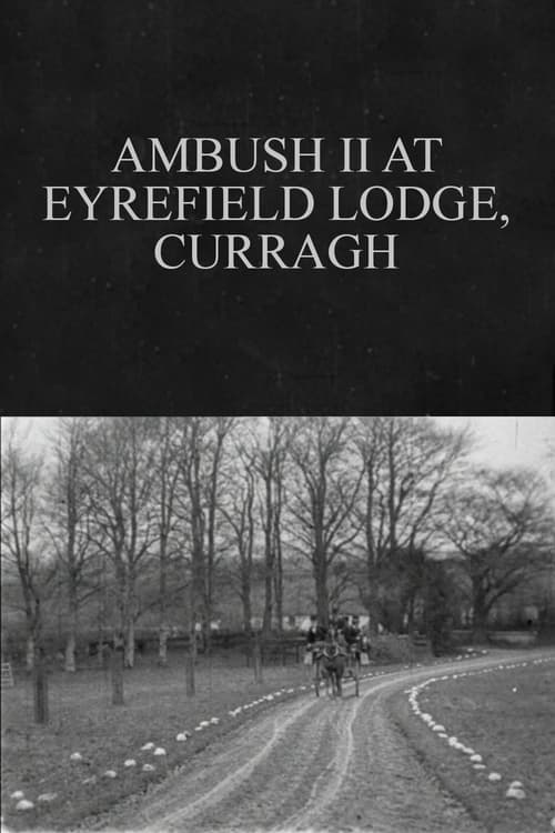 Ambush II at Eyrefield Lodge, Curragh (1902)