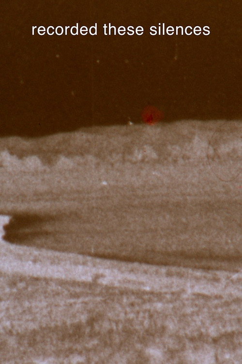 ∞An Archive of Disappearing Sounds∞