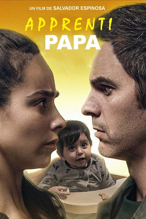 Poster image du film Apprenti Papa Apprenti Papa