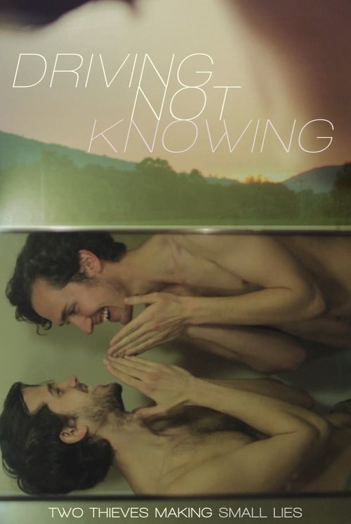 Driving Not Knowing (2015)