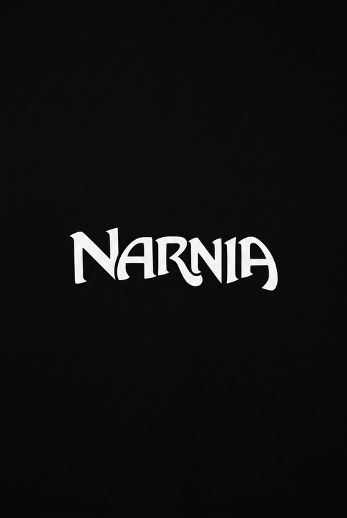 Narnia: The Magician's Nephew poster