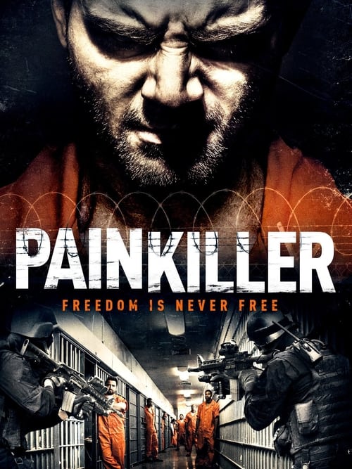 Painkiller movie poster