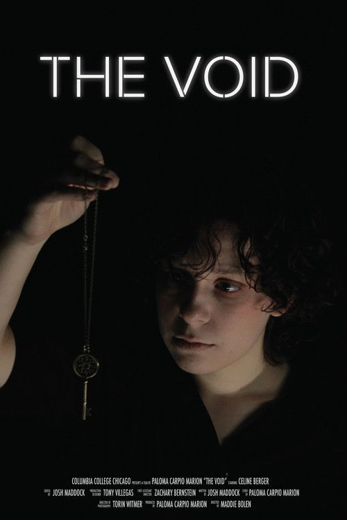 Poster de The Void