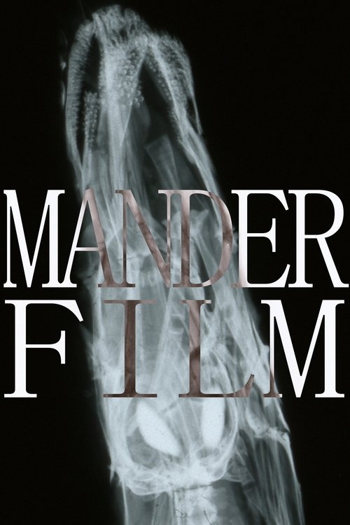 Manderfilm