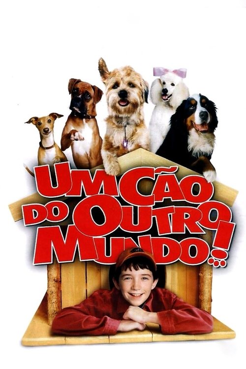 Image Um Cão de Outro Mundo