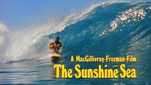 The Sunshine Sea The Sunshine Sea