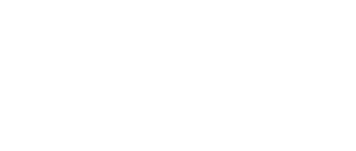 담보