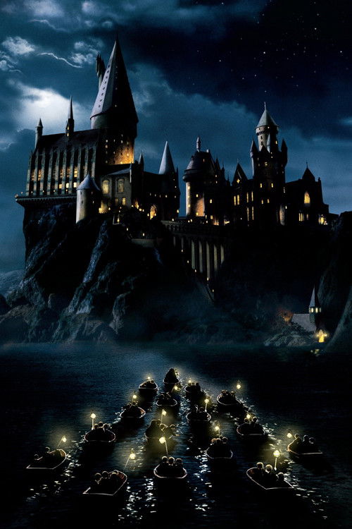 Pòster de Harry Potter - Col·lecció