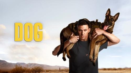 Dog (2022) Download Full HD ᐈ BemaTV