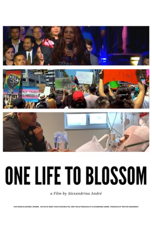One Life To Blossom