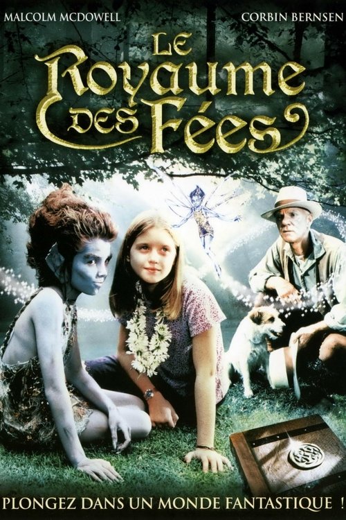 Poster image du film Le Royaume des fées Le Royaume des fées