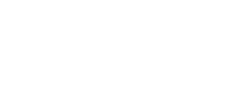 El rey león