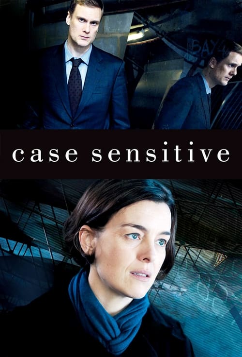 Where to stream Case Sensitive Season 2