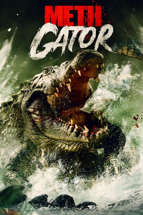 Poster image du film Methgator Methgator