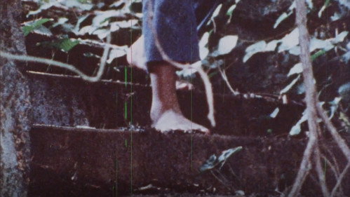 Toes Tell Backdrop Blur
