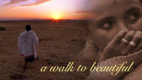 Poster della serie NOVA