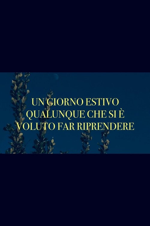 A summer day being filmed