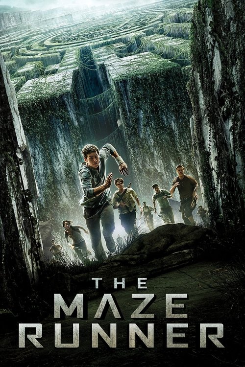 Grootschalige poster van The Maze Runner