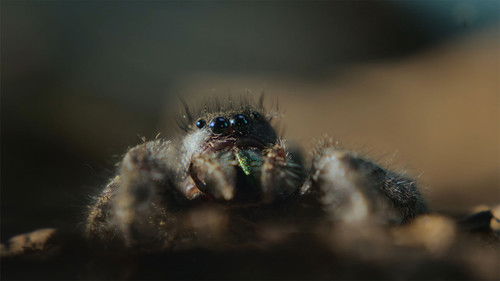 Chapter Two: Trapped