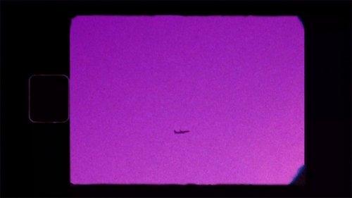 Shoegazer's Brown Eye Reverie