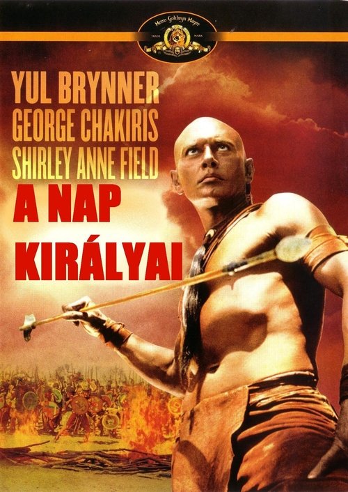 A Nap királyai movie poster player