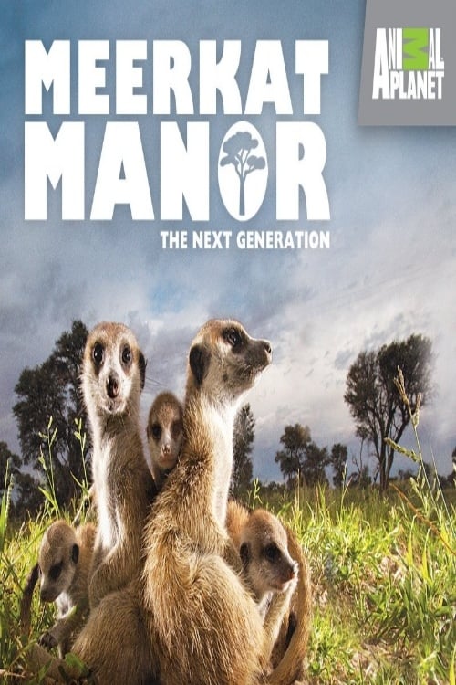 Where to stream Meerkat Manor Season 4