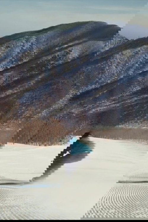 Movie poster of North Korea; Off-Piste