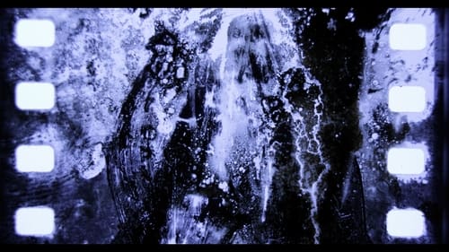 backdrop I Had a Dream of a House at Night